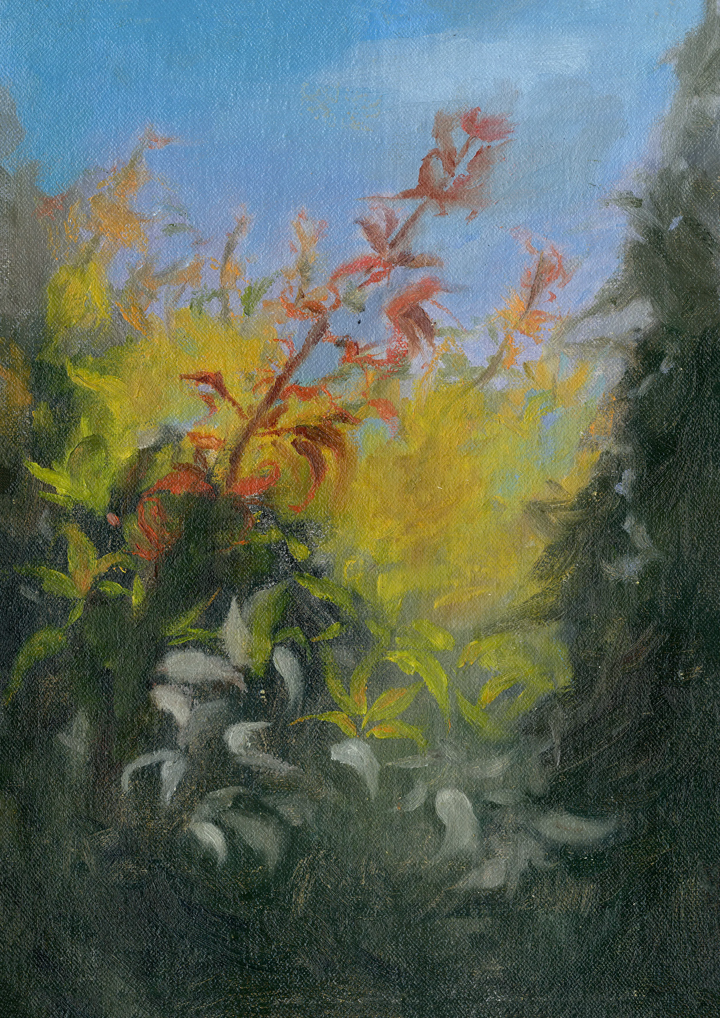 Places Unknown — limited edition print by T. Cheung-Damonte