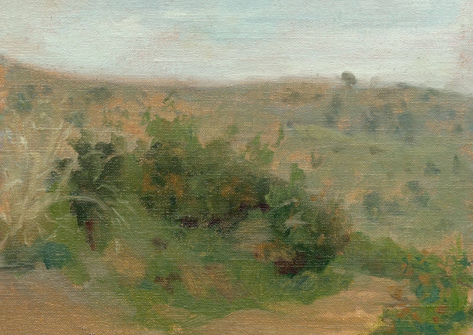 Hills in the Haze