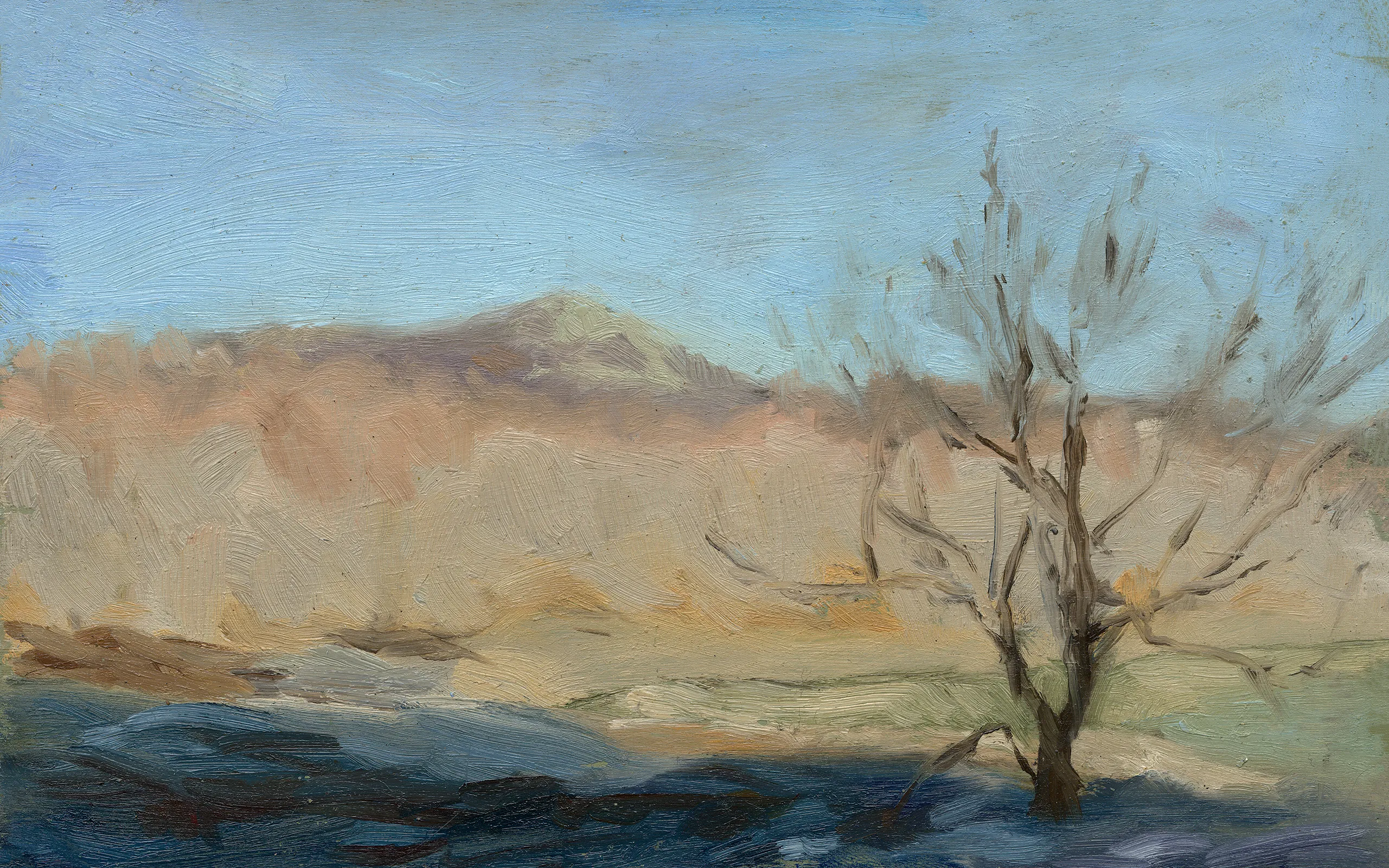 Plum Mountains — limited edition print by T. Cheung-Damonte