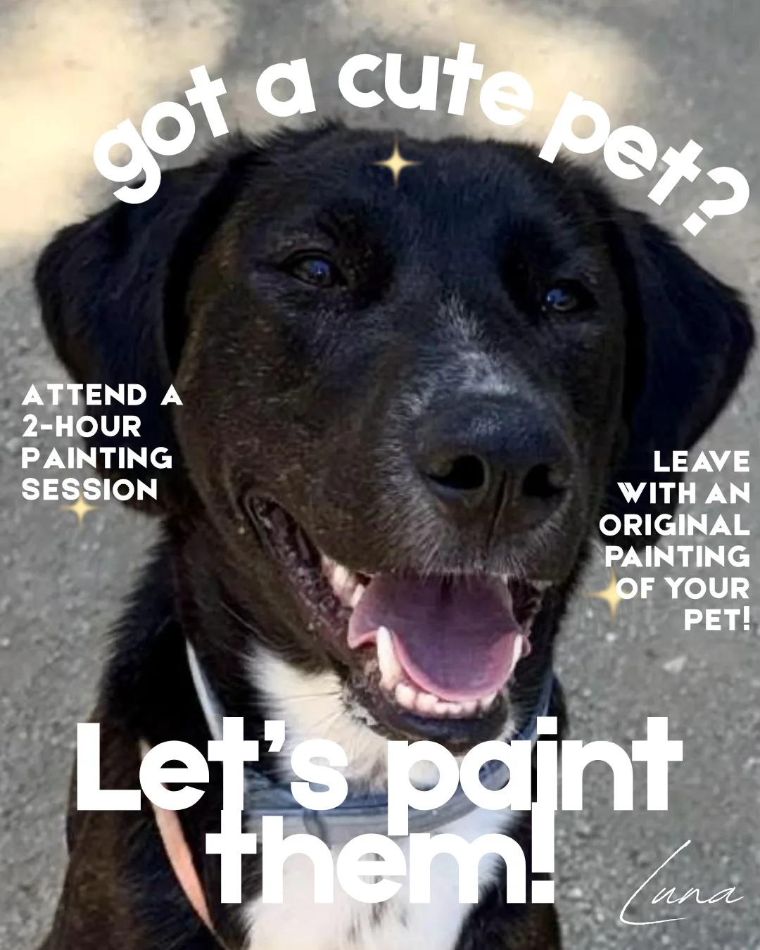 A smiling black dog. Slide text: Got a cute pet? Attend a 2-hour painting session. Leave with an original painting of your pet! Let's paint them!