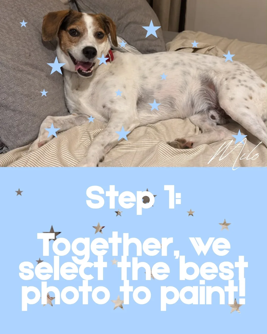 A white and brown dog lying on a bed. Slide text: Step 1: Together, we select the best photo to paint!