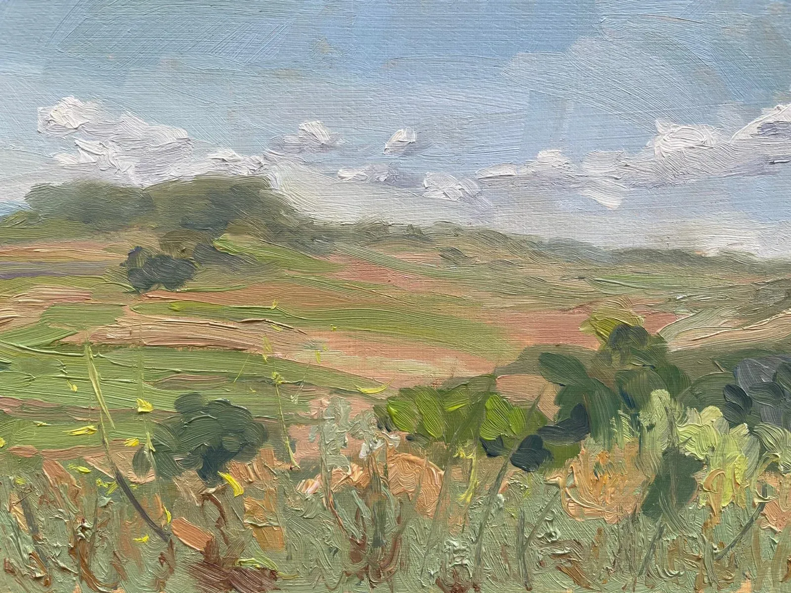 Untitled, oil on wood panel landscape painting of rolling countryside fields and wildflowers under a cloudy sky — T. Cheung-Damonte